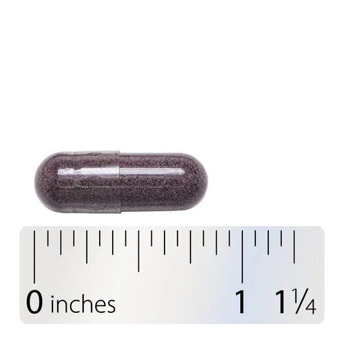 Nature's Way Bilberry Extract 90 vegan capsules - Image 4