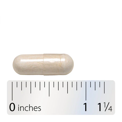 Nature's Way Fortify Optima Probiotic, 30 Delayed Release Capsules - Image 4